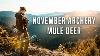 November Archery Mule Deer 2023